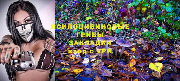 a pvp Зеленокумск