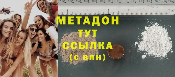прущие грибы Зерноград
