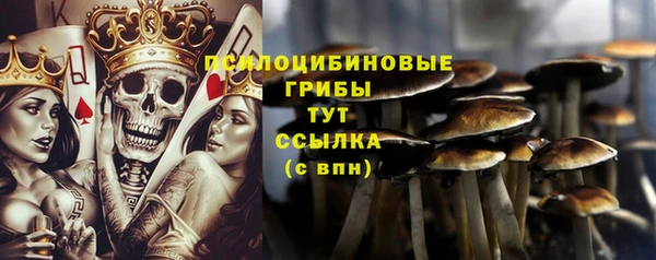 a pvp Зеленокумск