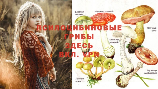 мет Зеленодольск