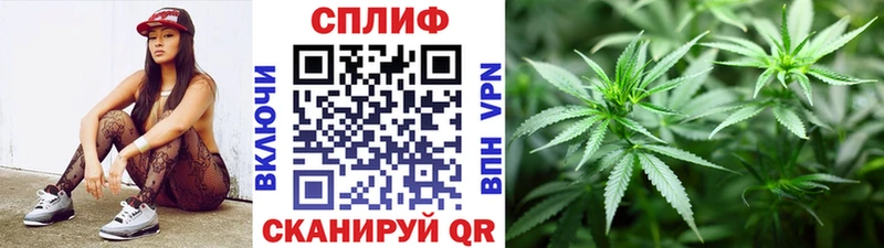 Конопля сатива  Купить где  Нестеровская 